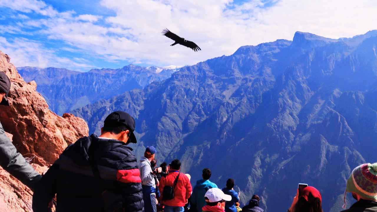 galeria tour valle del colca 2 dias tours-arequipa.com 16 Valle del Colca – Puno – Cusco en 04 Días